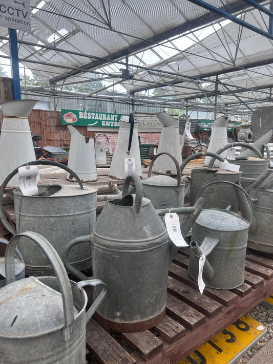 Antique Watering Cans - Buy Plants Online at Web Garden Centre