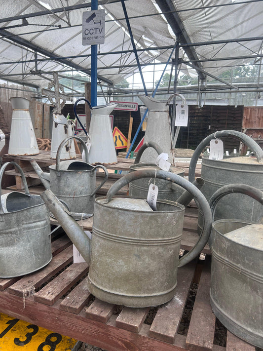 Antique Watering Cans - Buy Plants Online at Web Garden Centre