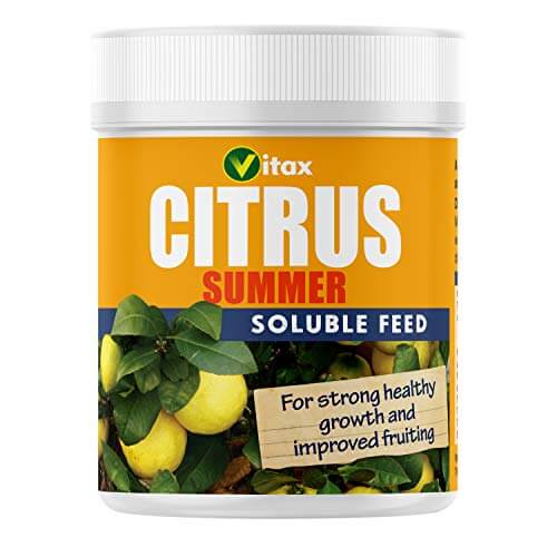 Citrus Summer Soluble Feed 200g - Buy Plants Online at Web Garden Centre