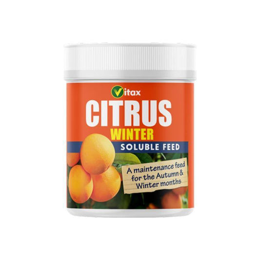Citrus Winter Soluble Feed 200g - Buy Plants Online at Web Garden Centre