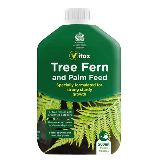 Tree Fern & Palm Feed - Buy Plants Online from  Web Garden Centre - Just £8! 