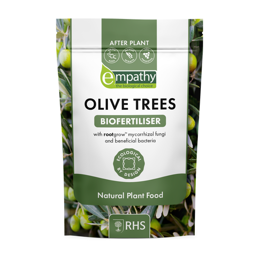 AFTER PLANT- OLIVE TREES 1Kg - Empathy RHS - Buy Plants Online at Web Garden Centre
