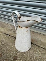 Antique Enamel Jugs - Buy Plants Online from  Web Garden Centre - Free Delivery